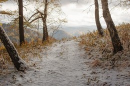 Der erste Schnee ... / ***