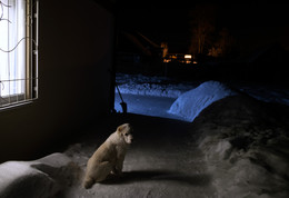 Abend / ***