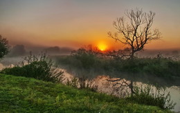 Morgendämmerung / ***