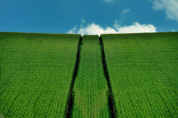 Der Weg zum Himmel / ***