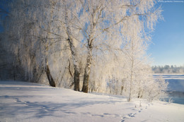 Winterwanderung / ***