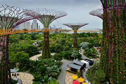 Singapur / ***