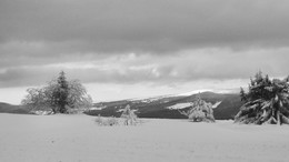Nach Schneefall / ***