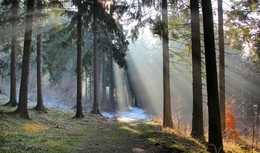 Nebel und Sonne / ***