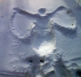 Snow Angel / ***