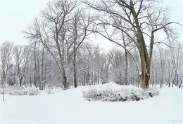 Winterwanderung / ***