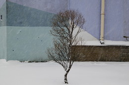 / https://photocentra.ru/work/558732