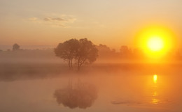 Im Morgenlicht / ***