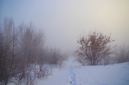 Im Nebel / ***