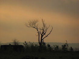 Einsamkeit / ***