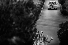 Welcome the bride / ***