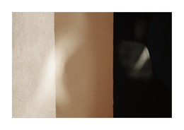  / ***
