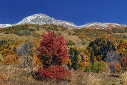 Herbst / ***