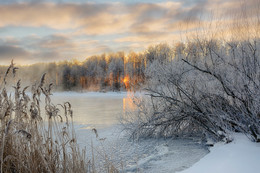 Frostigen Morgen . / ***