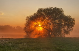 Am Morgen / ***