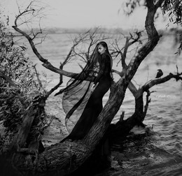Lady raven / ***