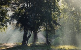 Sommermorgen ... / ***