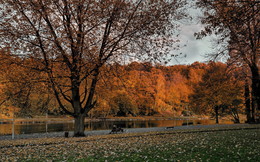 Herbst Skizze ... / ---