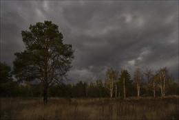 Vor dem Sturm / ***