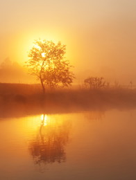 Der Morgen beginnt / ***