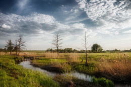 Streamlet / ***