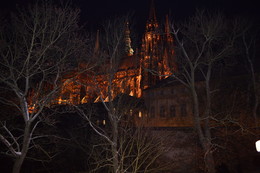 Prager Burg / ***