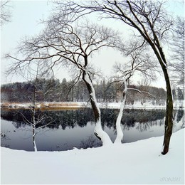 Winter-Etüde / ***