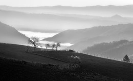 Early Light / The start of a new day...