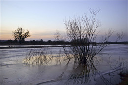 An der Schwelle des Frühlings / ***
