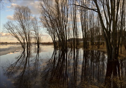 Hohe Wasser / ***