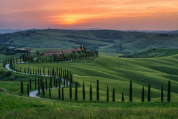 The Way Home / ***
