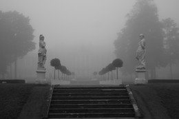 Nebliger Morgen / ***