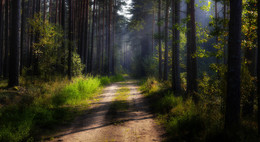 letzten Tag des Sommers / ***