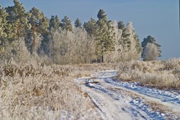 Ein frostiger Morgen / ***