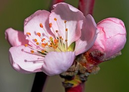 Bis zum Frühjahr / ***