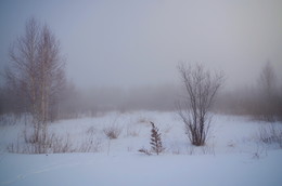 Nebel / ***