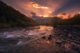 Sunlight Melody / ...