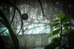 Durch das Glas / ***