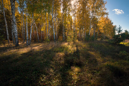 sonniger Tag / ***