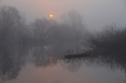 Erwachen / ***
