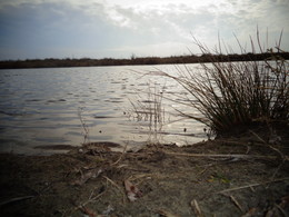 The River / ***