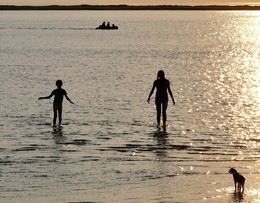 Weißen Meer / ***