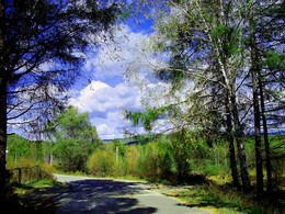 Nebenstraßen / ***