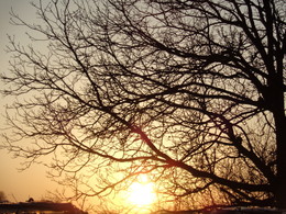 bei Sonnenuntergang / ***