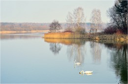 Frühling / ***