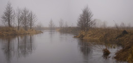 Frühling Nebel / ***