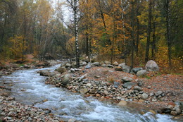 Herbst / ***