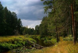 Vor dem Regen / ***