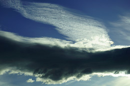 Vom Winde verweht / ***