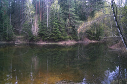 Forest Lake / ***